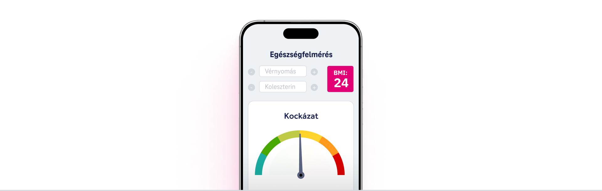 Egészségügyi kérdőív grafikus bemutatása, vérnyomás, koleszterinszint és BMI értékkel.