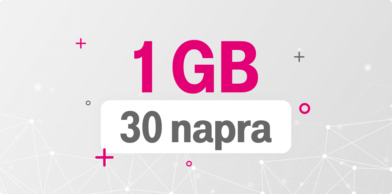 1 GB 30 napra